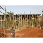 Choir loft bamboo support.JPG